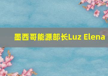 墨西哥能源部长Luz Elena